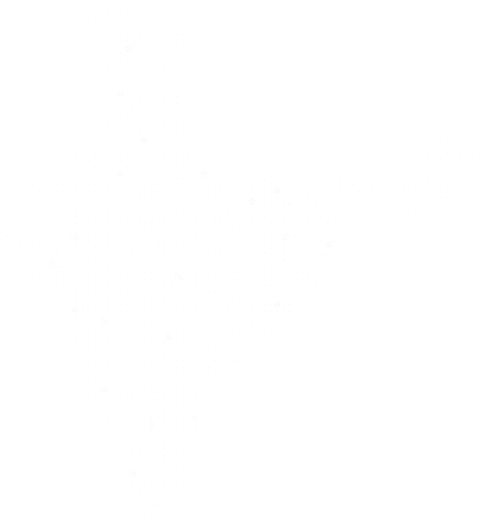 Map of India