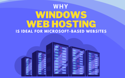 Why Windows Web Hosting is Ideal for Microsoft-Based Websites